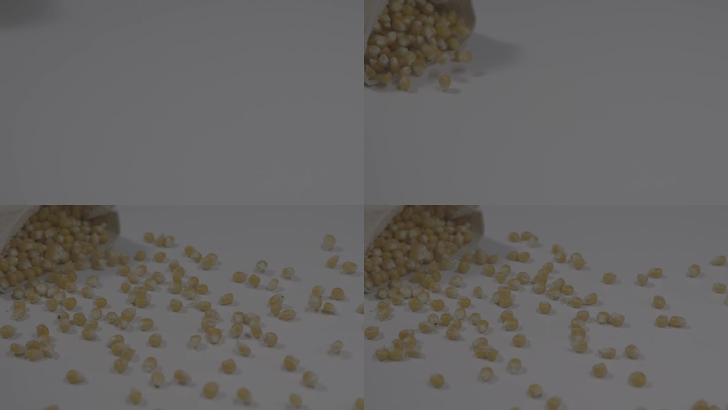 玉米粒撒落食品拍摄
