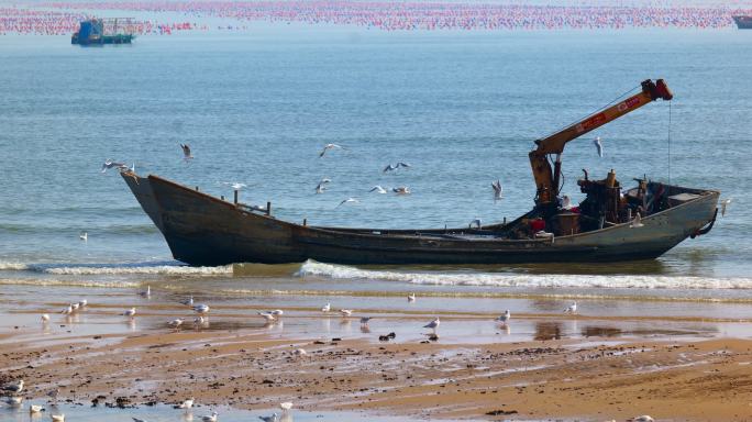 青岛渔民 渔船靠岸 渔民工作 青岛海滩