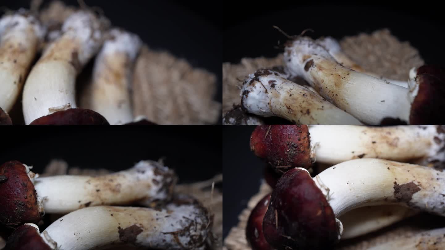 【镜头合集】昂贵食材松茸鲜蘑菇  (3)