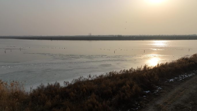 夕阳滹沱河结冰有鸟