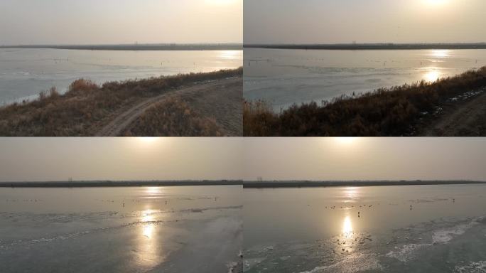 夕阳滹沱河结冰有鸟