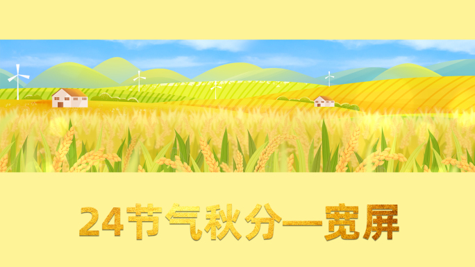 稻田麦子丰收视频