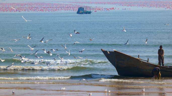 青岛海滩 渔船靠岸 渔民上岸 海洋牧场