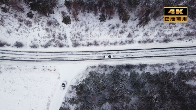 汽车在雪林中穿行