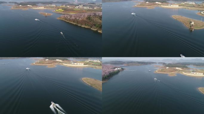 快艇 樱花 湖泊 快艇巡查 水面行驶