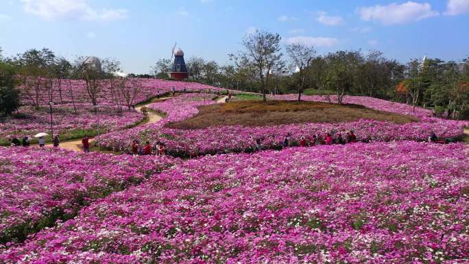 高清4k 航拍海南海花岛 热带花园