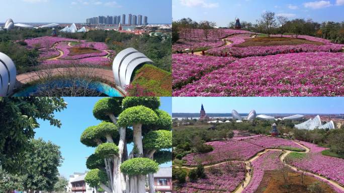 高清4k 航拍海南海花岛 热带花园