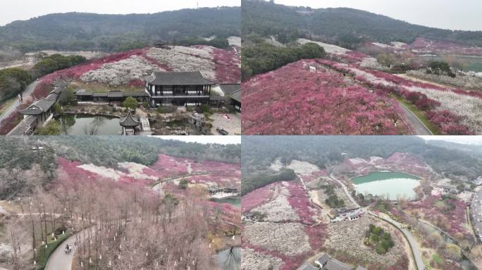 张家港香山景区梅花大气航拍2