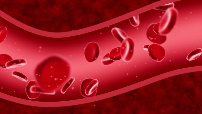 红细胞   血小版  血管  血液
