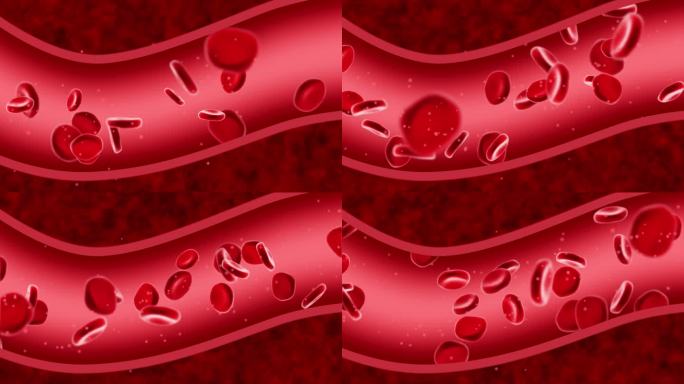 红细胞   血小版  血管  血液