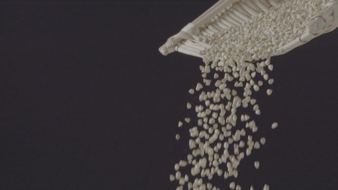 荞麦黄豆撒落空中落体食品拍摄