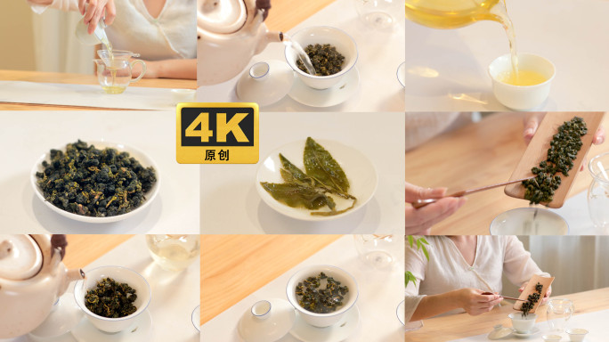 乌龙茶 茶艺 功夫茶