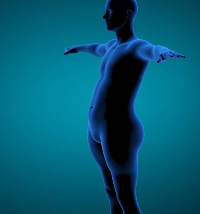 科技感蓝色男人瘦肚子减肥瘦身C4D文件