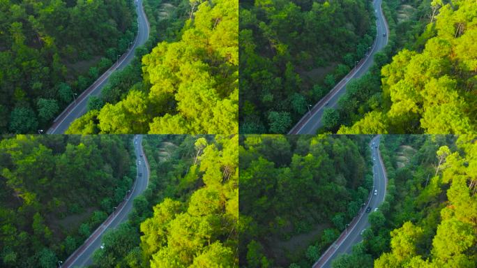 乡村道路美丽乡村