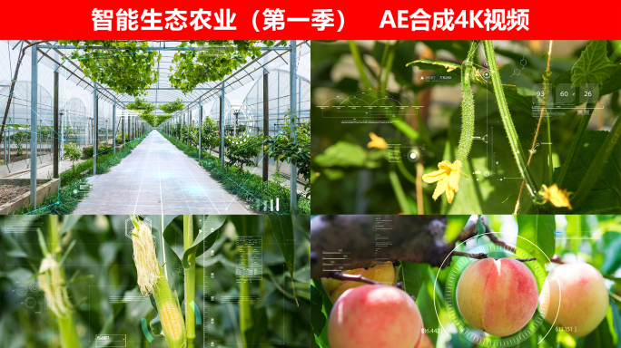 智能生态农业（第一季）