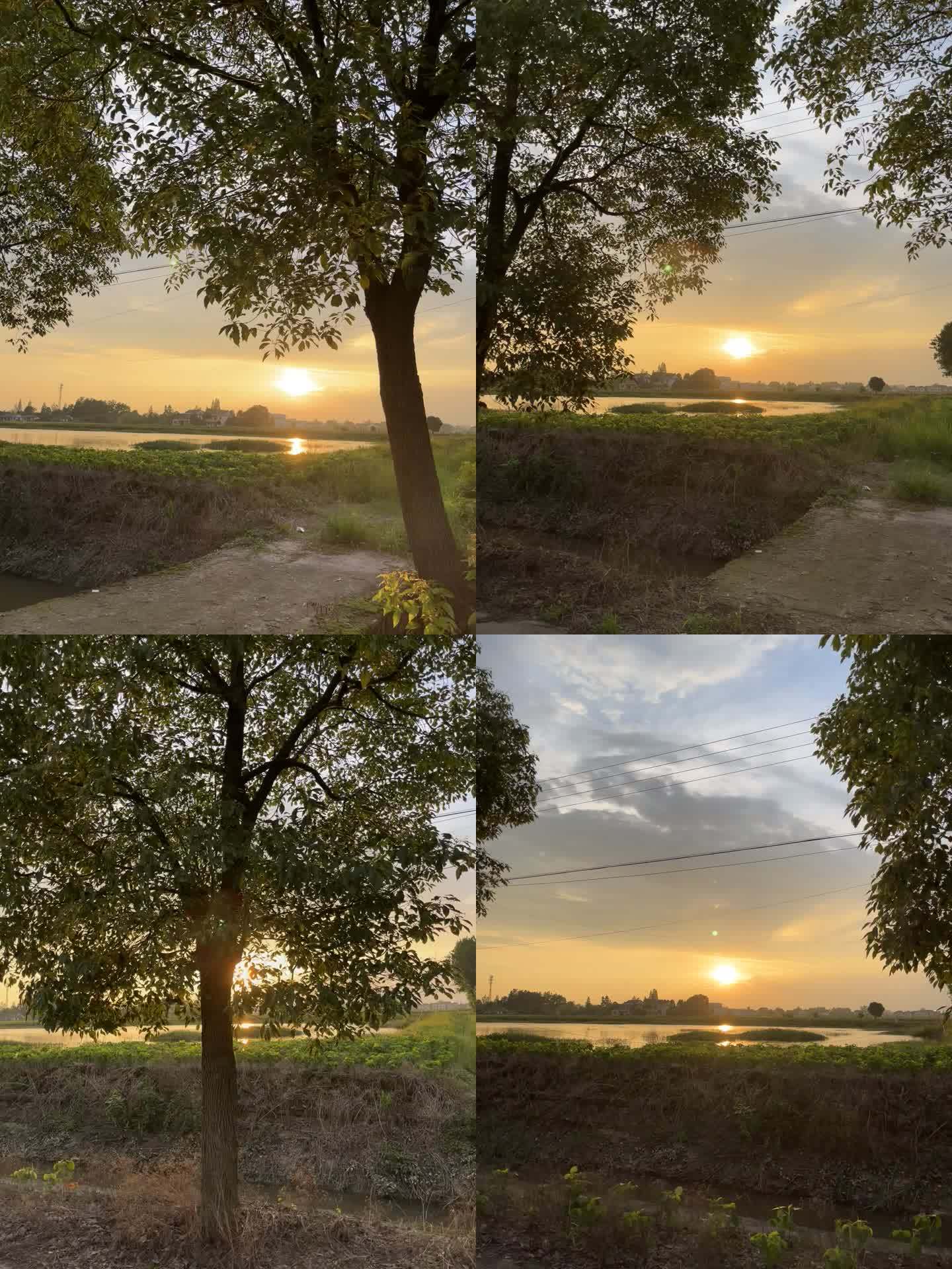 乡村田野日落夏日傍晚治愈美景