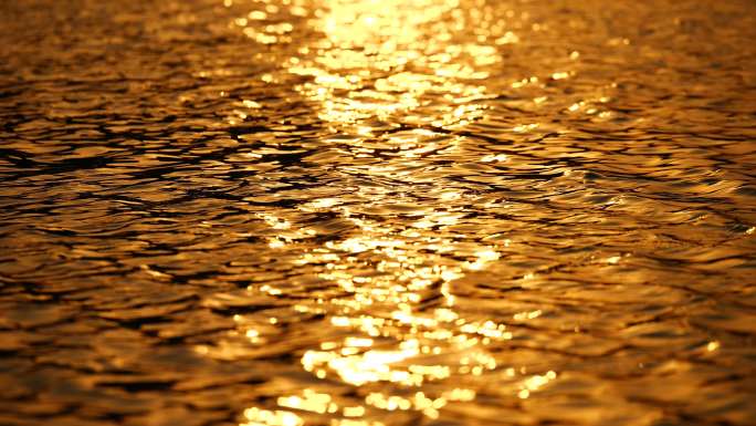 阳光 水面 金色波纹