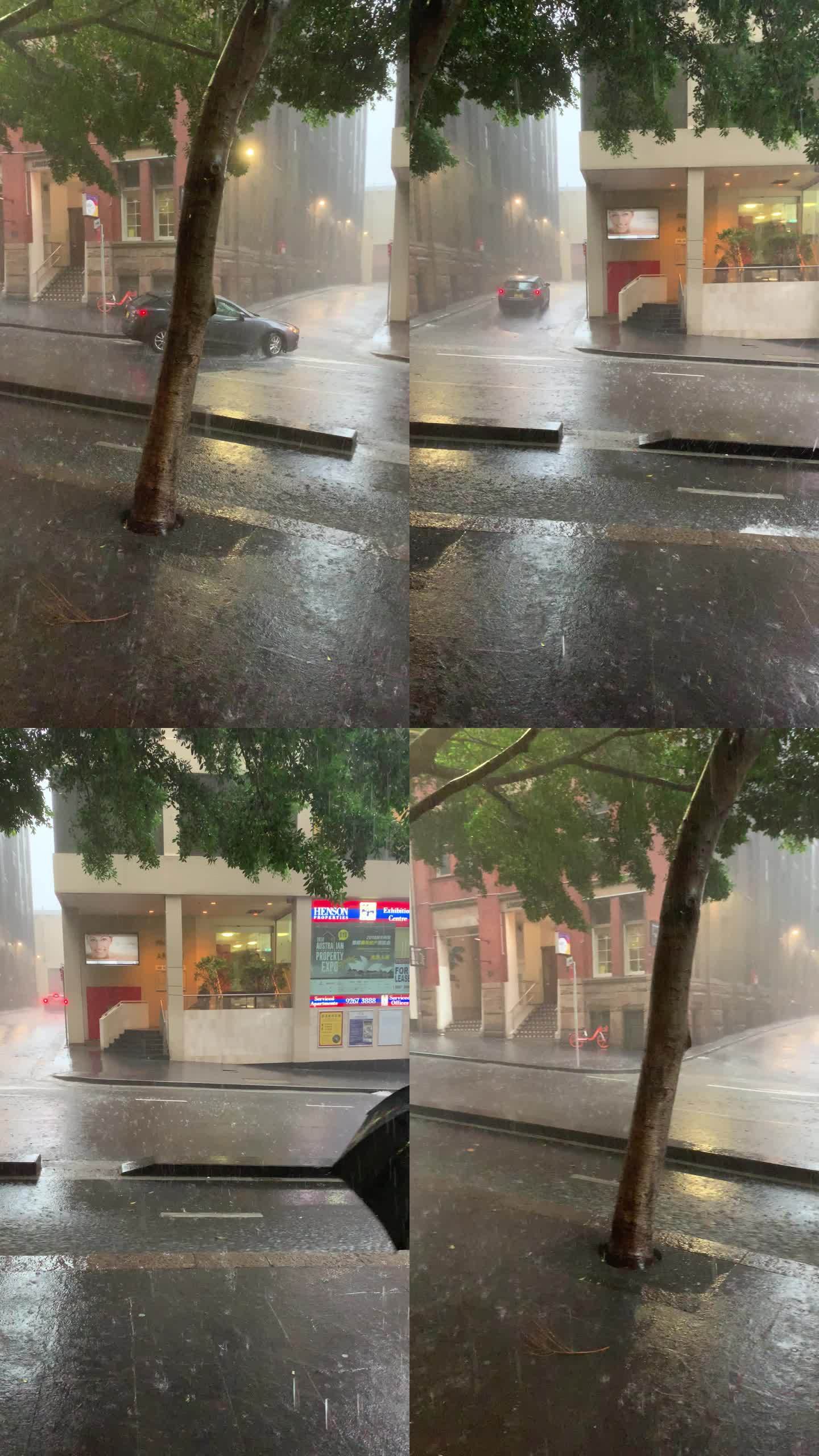 悉尼雨中街景