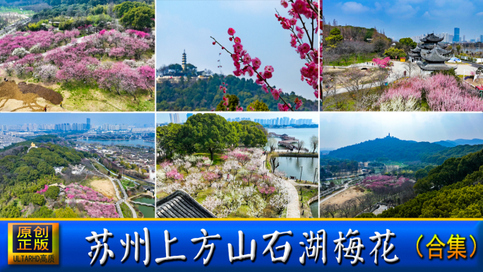 苏州上方山石湖梅花园