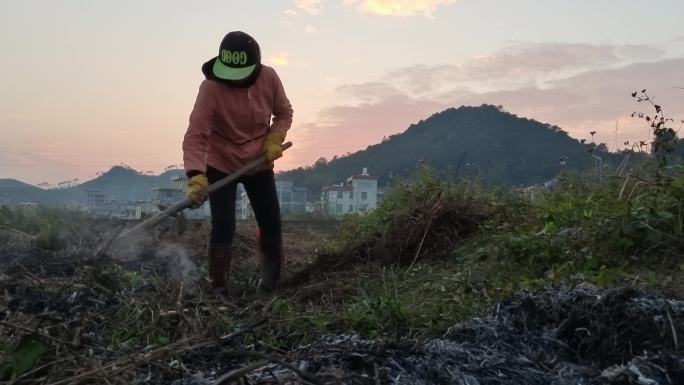 开垦荒田荒地辛苦劳作农民妇女农妇芒种