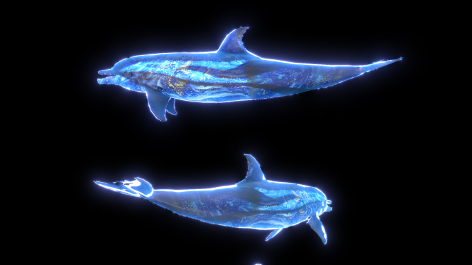 发光海豚游动多角度素材包
