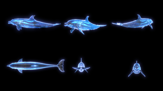 发光海豚游动多角度素材包