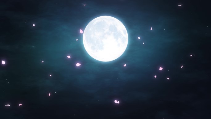 唯美月亮花瓣循环视频