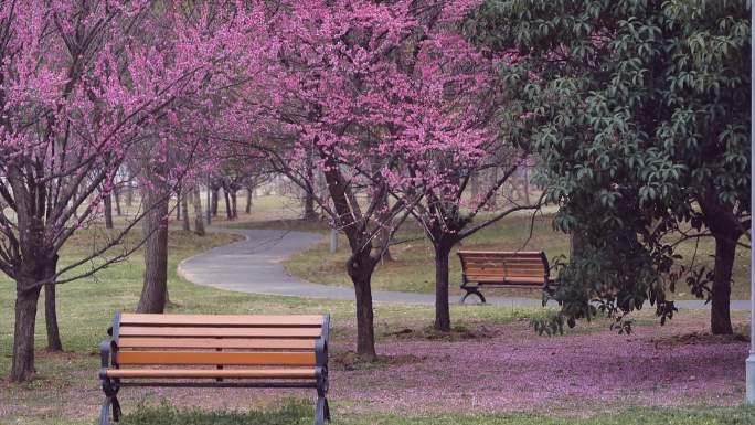 公园休闲长条椅空镜素材