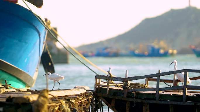 渔村码头渔船出海开海渔民生活