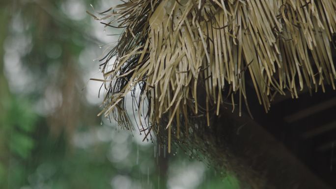 下雨 大雨 雨水 树枝 屋檐 围栏