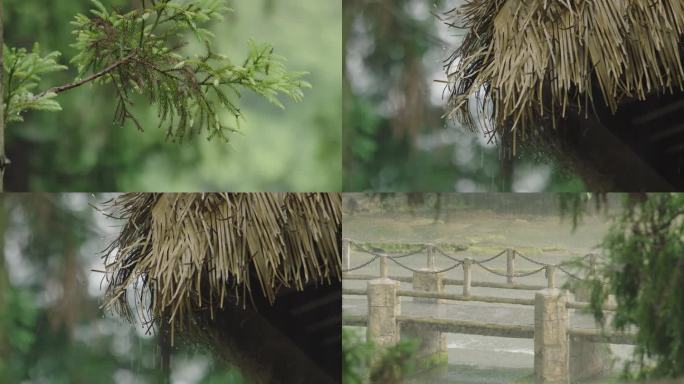 下雨 大雨 雨水 树枝 屋檐 围栏