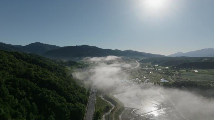 4k秦岭太白森林云雾云海延时风景山川山脉