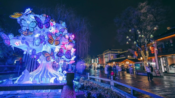 南京老门东游客观赏蝴蝶花灯夜景延时摄影