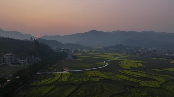美丽乡村油菜花