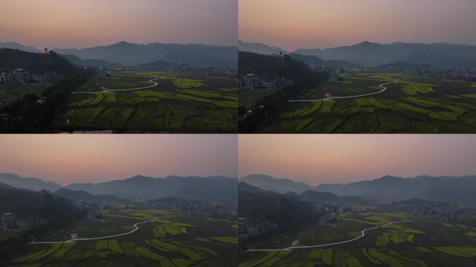 美丽乡村油菜花