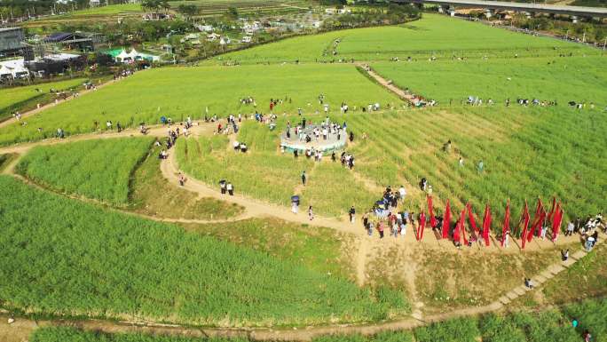 油菜花田航拍