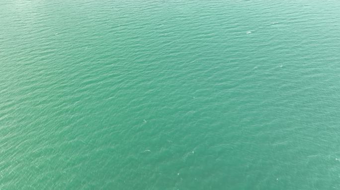 俯拍碧绿海水移动的海面清澈的绿色水面航拍