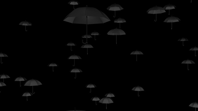 黑雨伞
