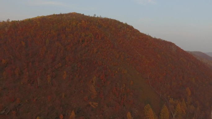 H大兴安岭林局天台山红叶航拍01