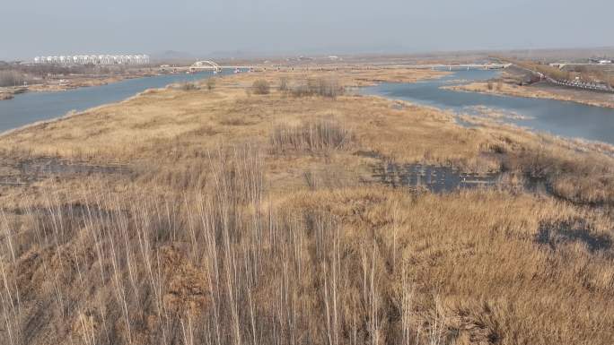 泰安东平湖