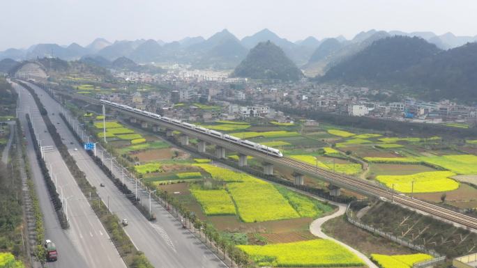 安顺鲍家屯油菜花