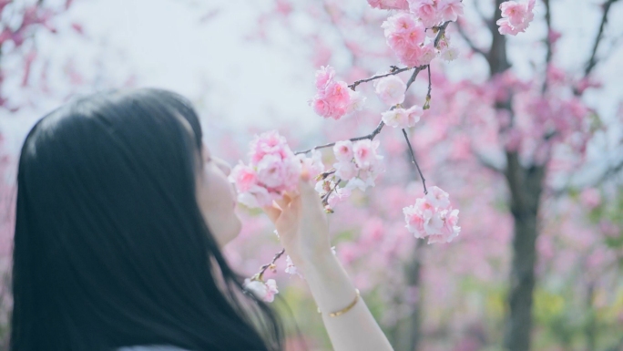 樱花美女游人