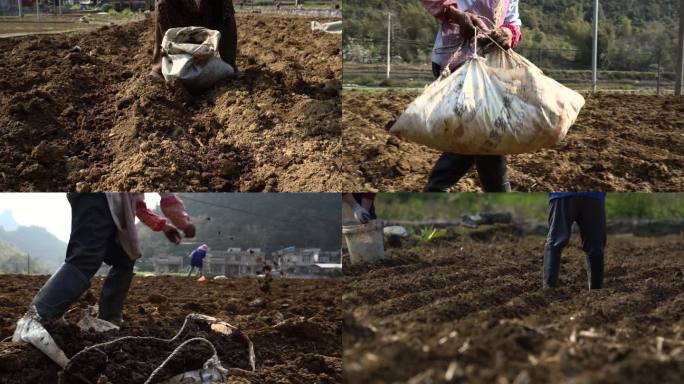 农村粪肥施肥传统种植