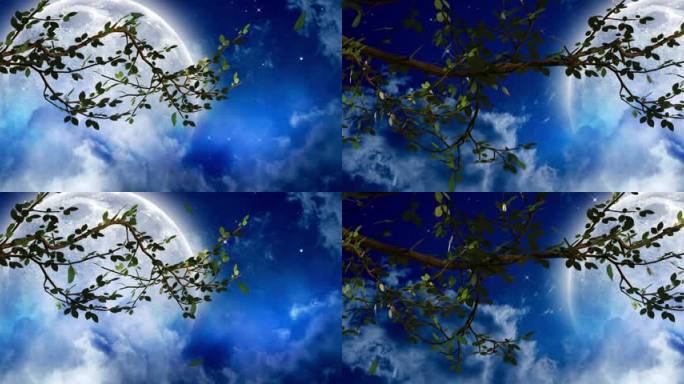 月夜枝桠晃动 视频素材