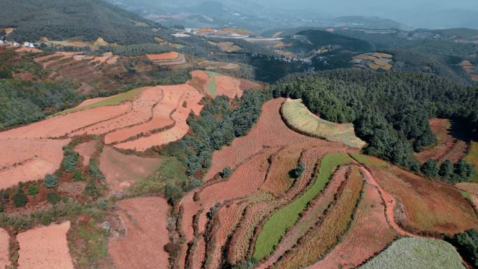 云南旅游乡村振兴风光东川红土地