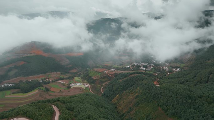 云南旅游风光宣传东川红土地云雾森林田野