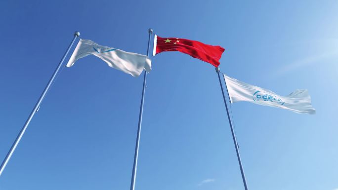中国贸促会旗帜