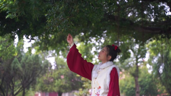 古代美女站在树下发呆伤感思念伸手摘树叶