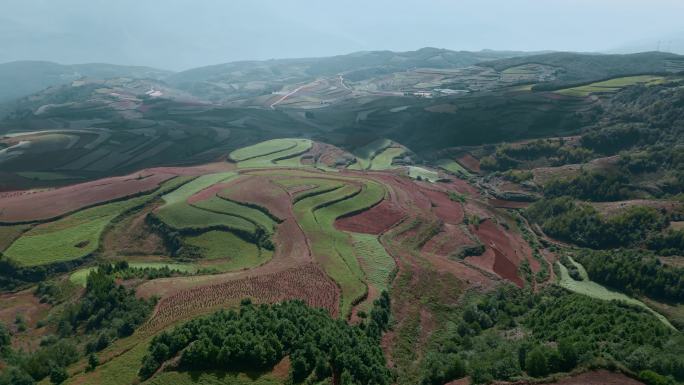 云南旅游农业宣传风光东川红土地梯田阴影