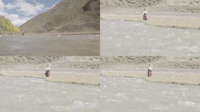 藏族姑娘 河边放牧山羊 纪录片